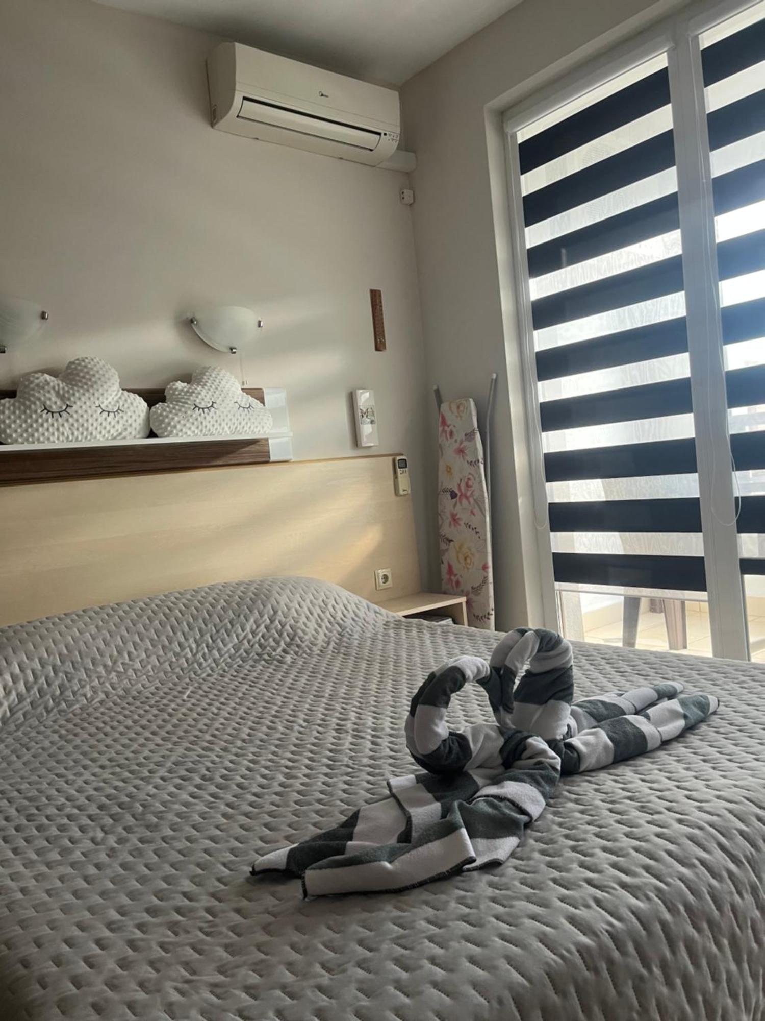 Harmony Hills Petkovi Studio Apartment Rogachevo Dış mekan fotoğraf